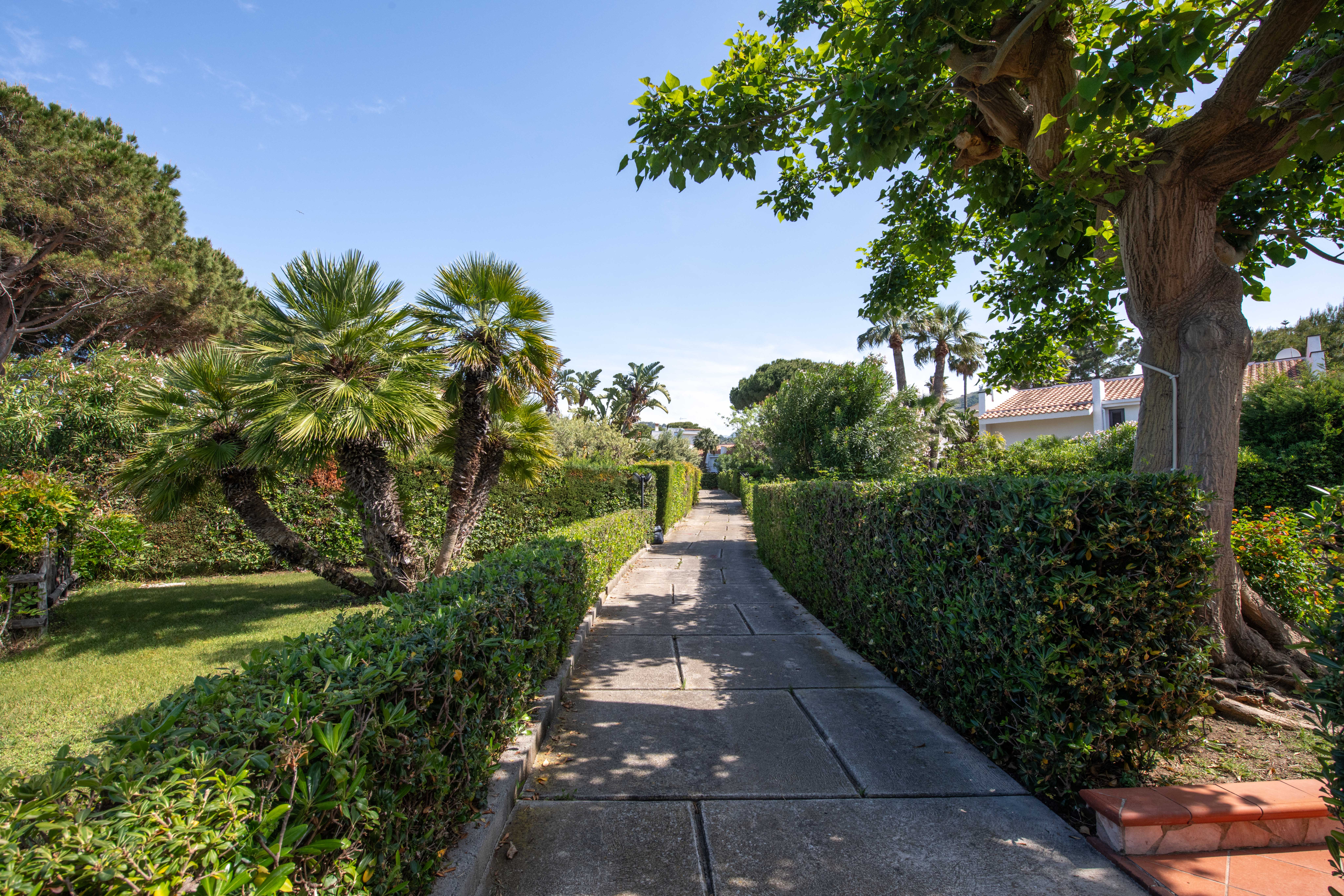 Villa Giulia Vista Mare con Spiaggia Privata - Immagine 6